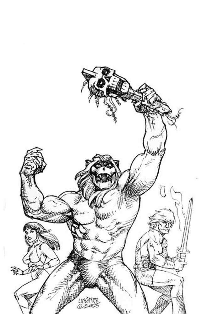 Thundarr The Barbarian #4 Cover N 1 in 10 Joseph Michael Linsner Line Art Full Art Variant