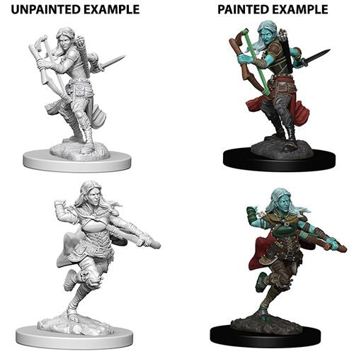 Dungeons & Dragons: Nolzur's Marvelous Unpainted Miniatures - W04 Air Genasi Female Rogue