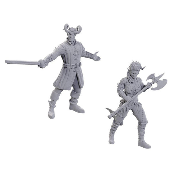 D&D Nolzur's Marvelous Miniatures: Special Edition Baldur's Gate 3: Wyll & Karlach