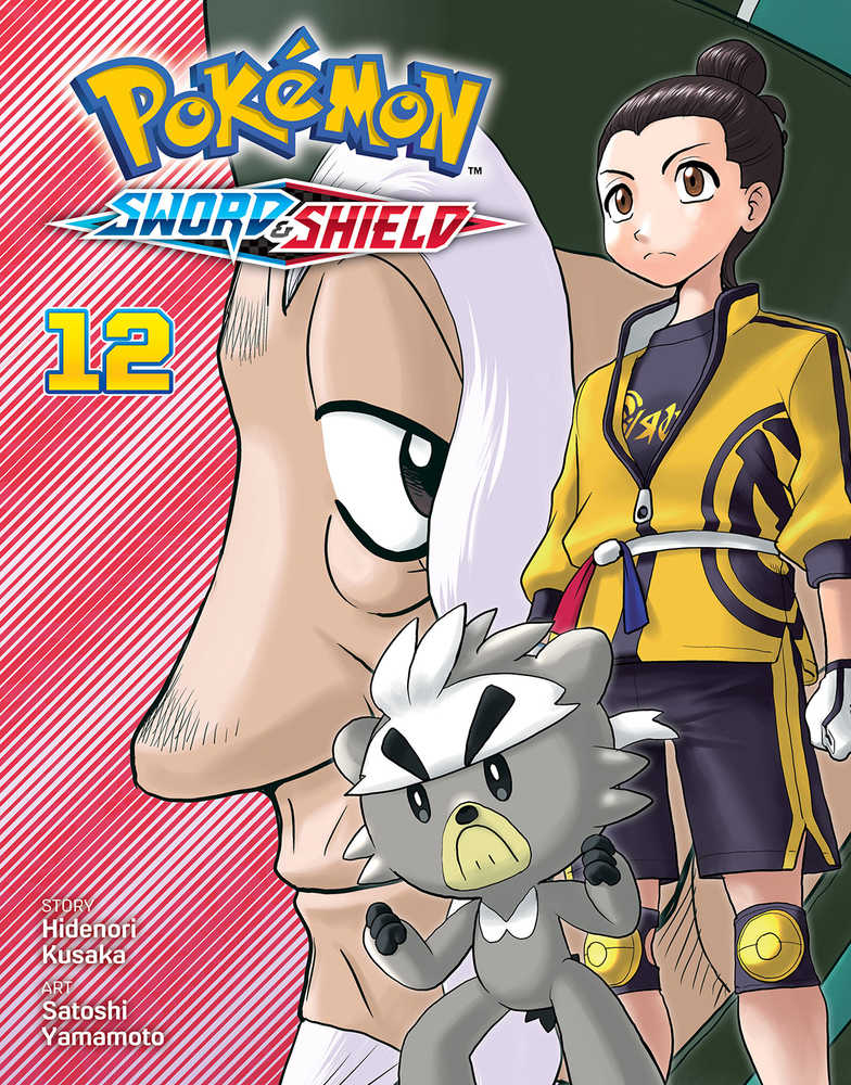 Pokemon Sword & Shield Graphic Novel Volume 12