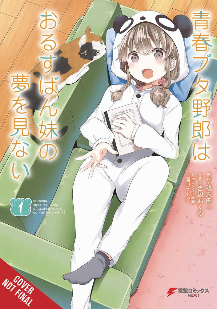 Rascal Does Not Dream Of A Sister Home Alone Graphic Novel