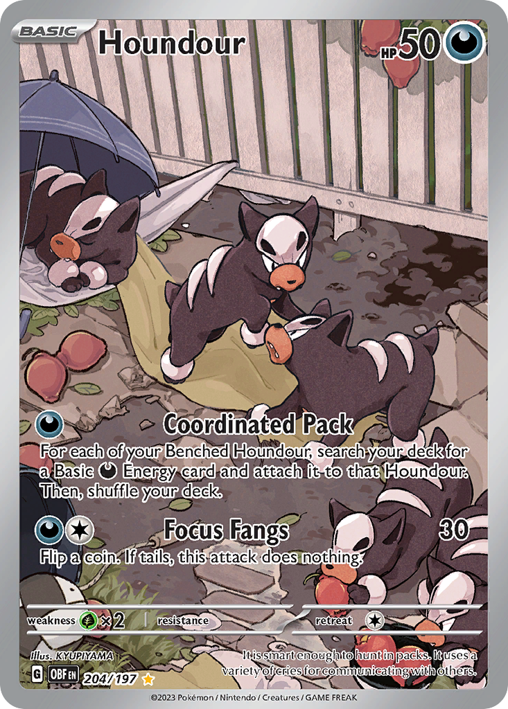 Houndour  - 204/197