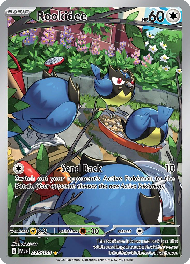 Rookidee  - 225/193