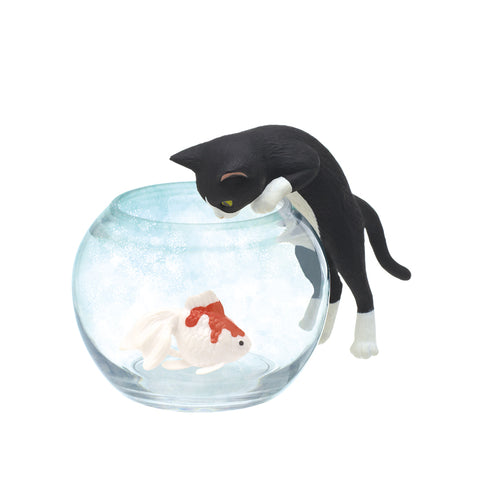 Kitan - Club Cat with Goldfish Blind Box