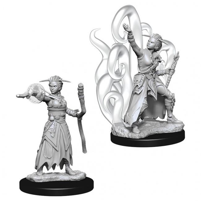 DND UNPAINTED MINIS WV10 FEMALE HUMAN WARLOCK
