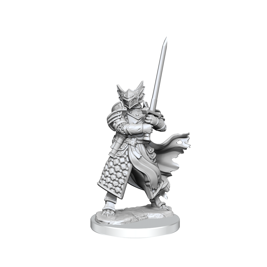 DND FRAMEWORKS WV1 DRAGONBORN PALADIN