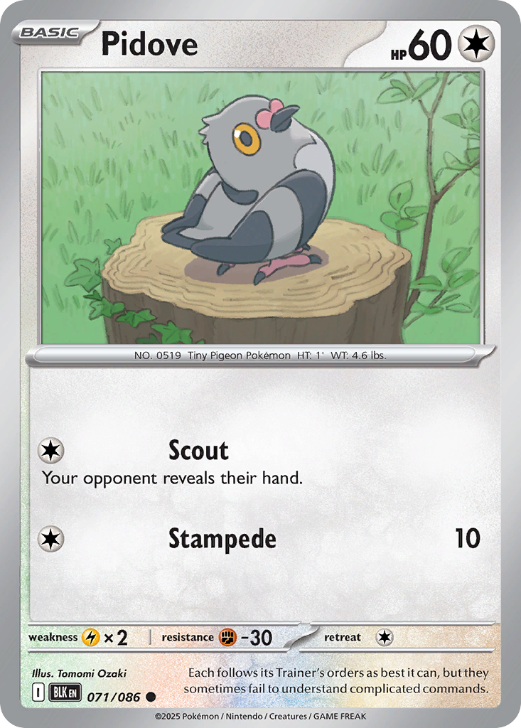 Pidove (Master Ball Pattern) - 071/086