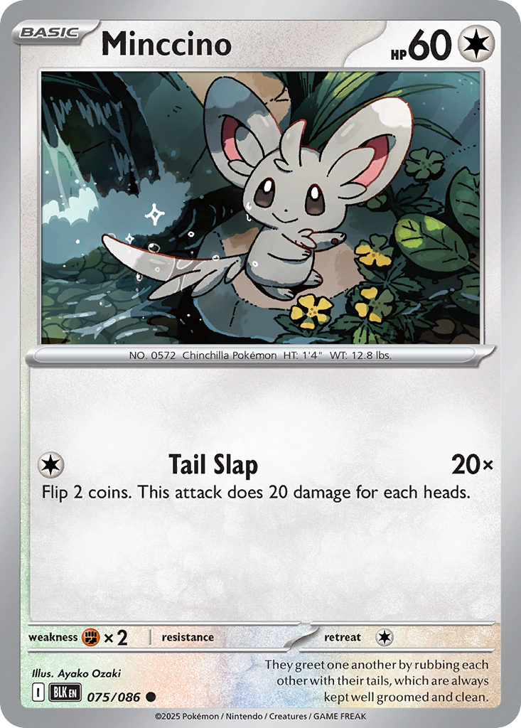 Minccino - 075/086 - Reverse Holofoil