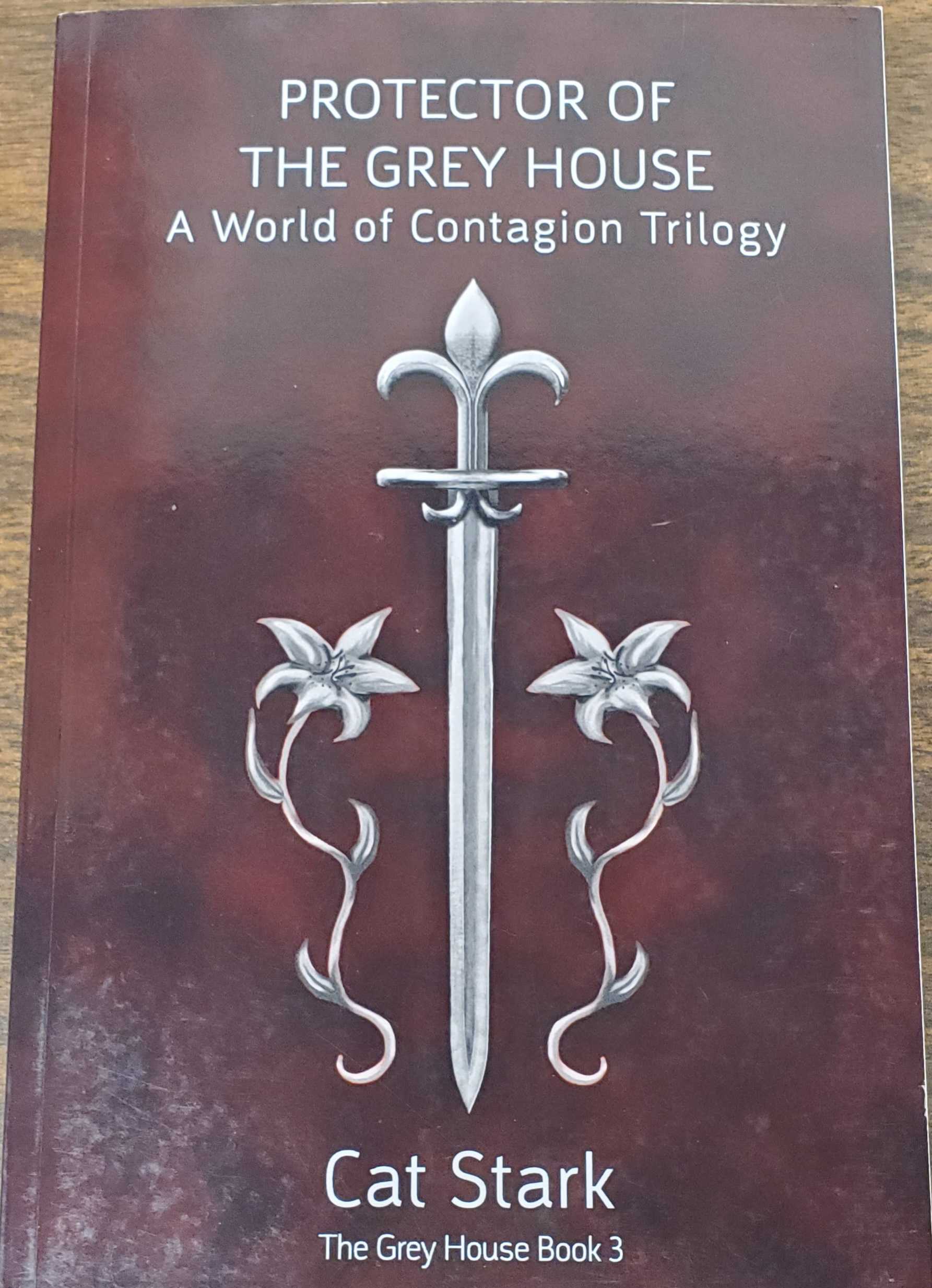 The Grey House Book 3 - Protector of the Grey House