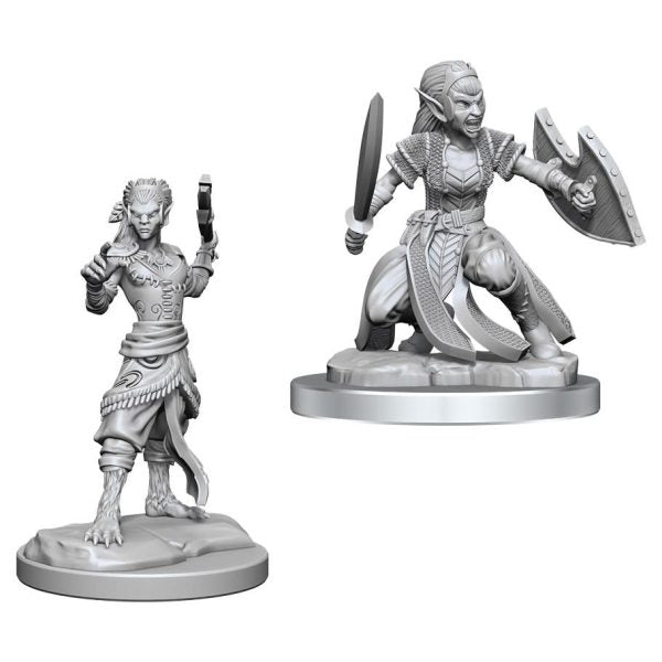D&D Minis Shifter Fighter