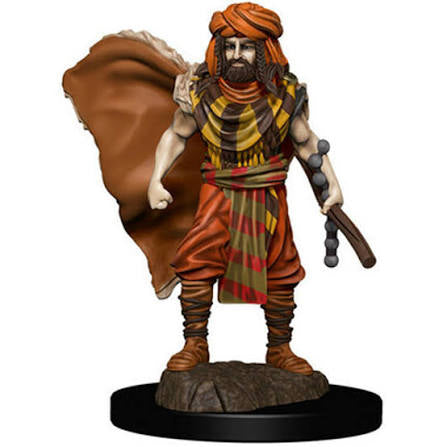 D&D Minis Prem Human Male Druid