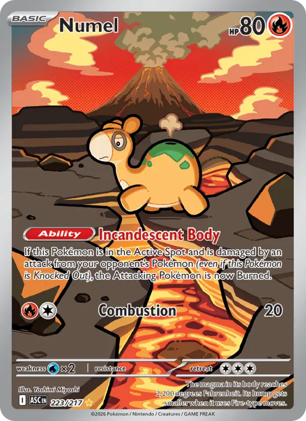 Numel  - 223/217