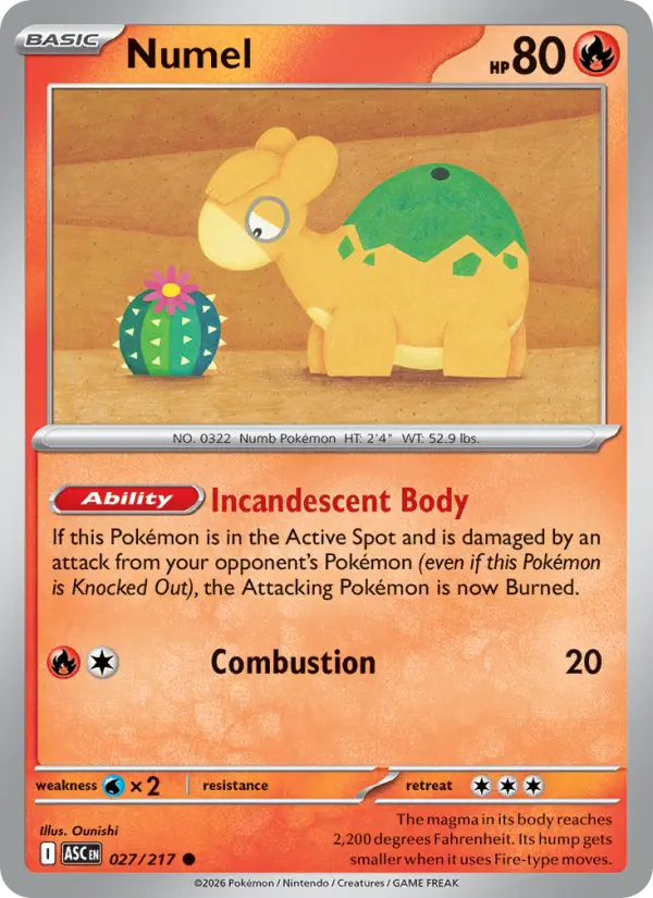 Numel  - 027/217