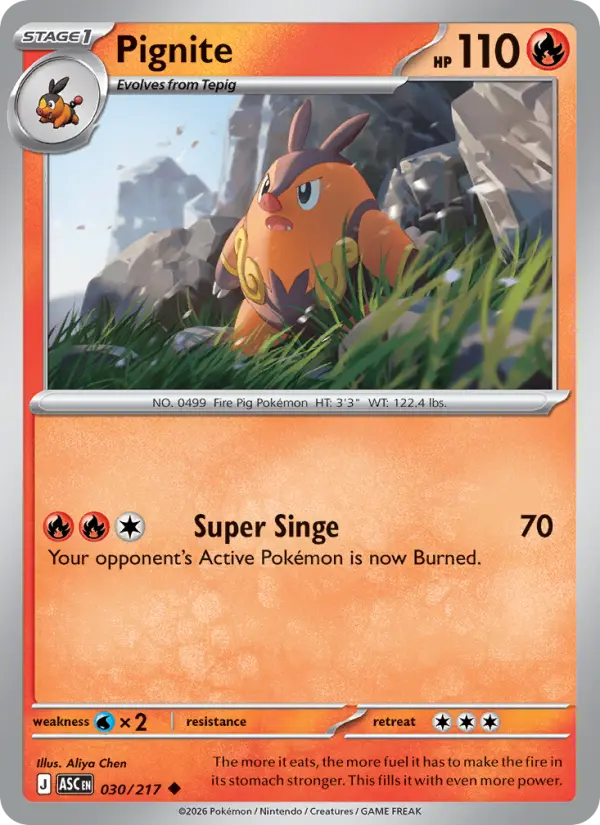 Pignite (Energy Symbol Pattern) - 030/217 - Reverse Holofoil