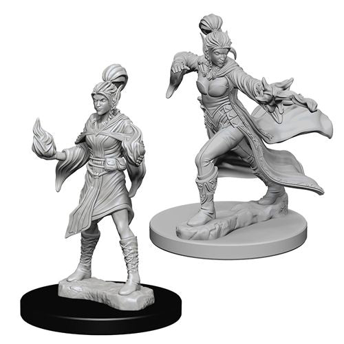 Pathfinder Deep Cuts Unpainted Miniatures: W01 Elf Female Sorcerer