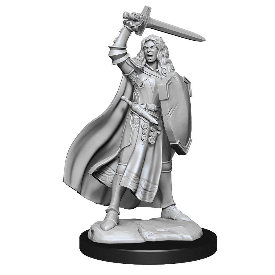Pathfinder Deep Cuts Unpainted Miniatures: W14 Human Champion Female