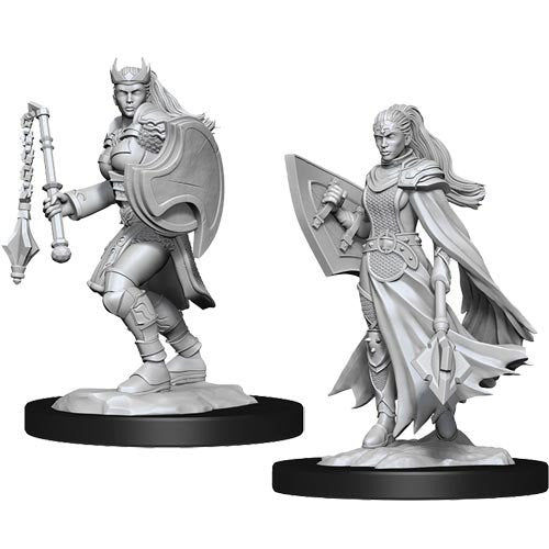 Dungeons & Dragons: Nolzur's Marvelous Unpainted Miniatures - W14 Kalashtar Cleric Female