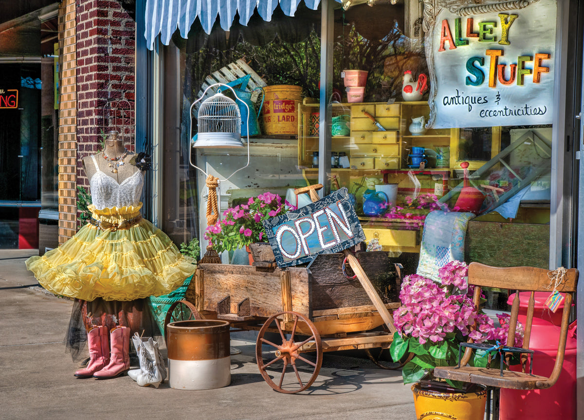 Sidewalk Treasures 1000pc Puzzle